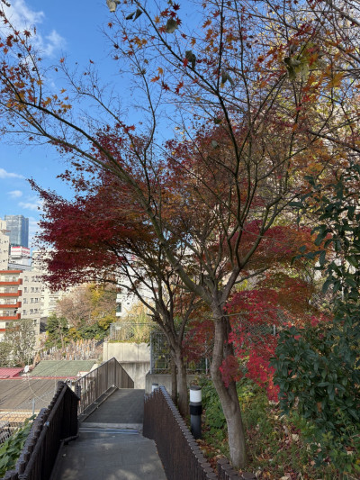 thumbnail_image1 (4)