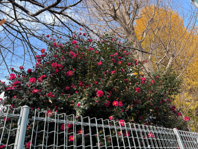 thumbnail_image3 (2)