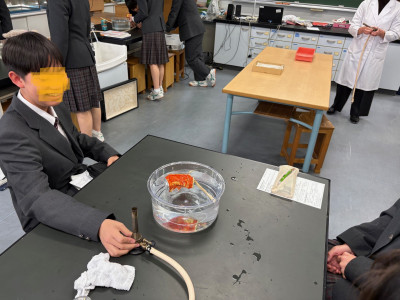 f86ef046-ca9a-453e-86a9-2280bbe317ab