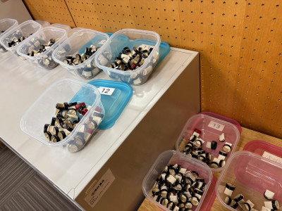 8c2fb0a7-de31-43b2-88fc-c2afb3a1c4aa