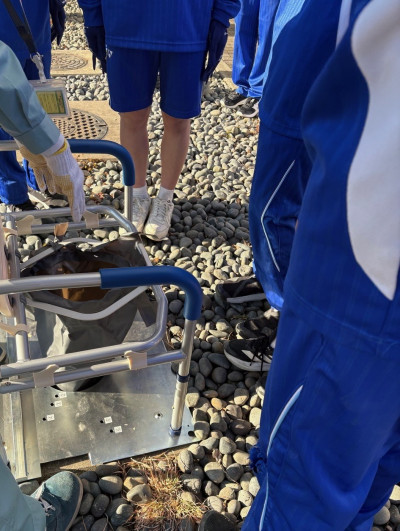 1fc97389-2656-4054-a7b4-980c90861bac