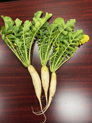 b3308f4a-adc9-418b-b0ed-bb2263acb6b7