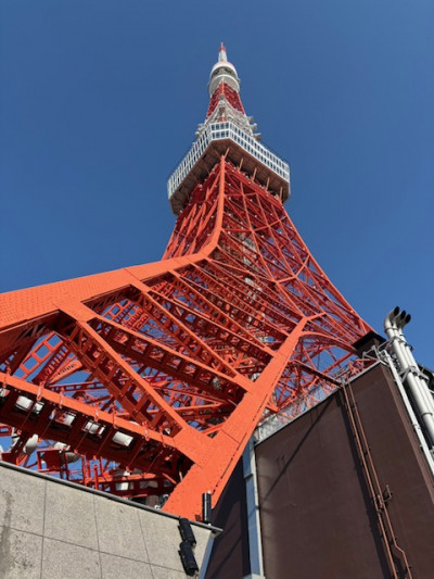 177B4455471904932A4CFC5B6A5468AFB5393C8E