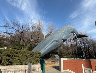 beaba957-7bec-4cb4-a040-3a09aba8373b