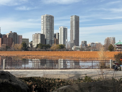 9b1632a6-dc9f-4559-8a5b-9b5e17fbf367