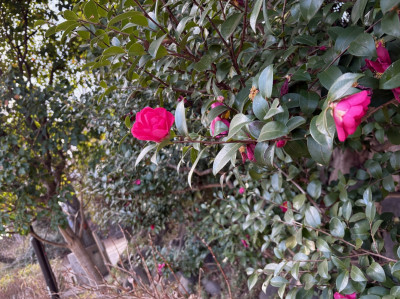 aa0040a2-6677-4f3d-9356-aa48fa8b9cc7