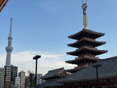 56bb61ee-5892-492f-b287-7066ab7b5a50