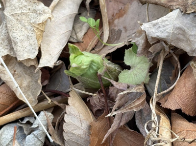 e9629ba1-0b10-4a24-a817-ec774ecd34cb