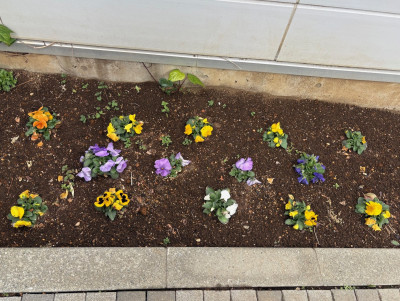 51e2a562-6d9a-4944-8dab-07308b9b6a15