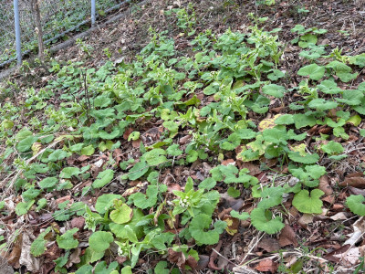 2f3b25d4-c606-4f71-ad2b-a895e93c7650