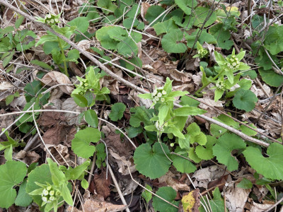 19eecb51-1e29-47da-bce0-1ef43c3d944d