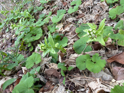 0859ea44-f93c-4f12-bf01-d81dae361a8a