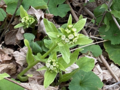 19eecb51-1e29-47da-bce0-1ef43c3d944d1