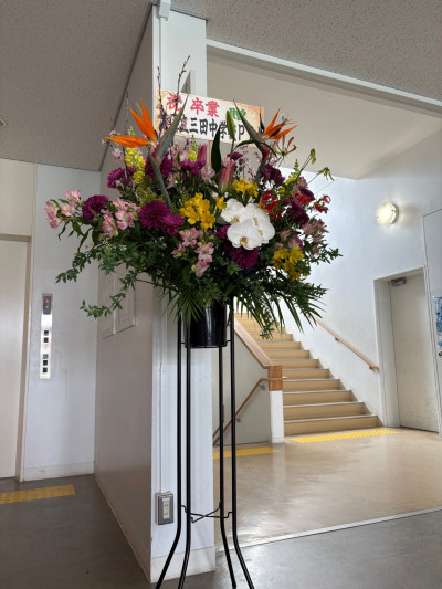 f07e5be4-7c8f-46b7-a80c-12d37e262fa2