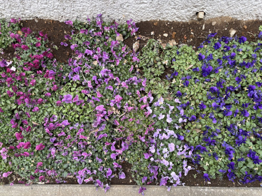 cf3cdb04-4674-43ea-98c5-8571db25b5d8