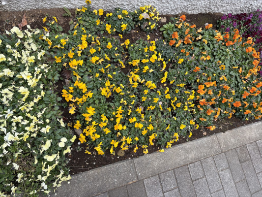 ff282827-561b-48ee-bd57-4db8110d710f