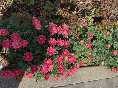 3a57528c-d8f6-40f0-a285-8827b292aad6