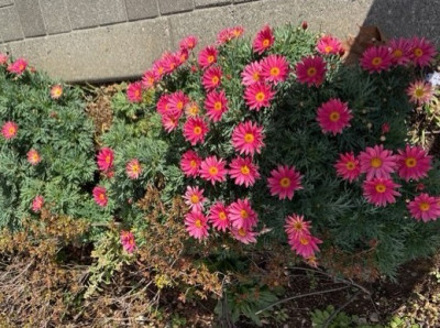 3a57528c-d8f6-40f0-a285-8827b292aad6