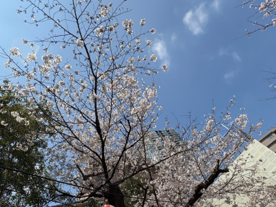 898c8d8b-4f13-4d51-8e05-53aab8d5b704