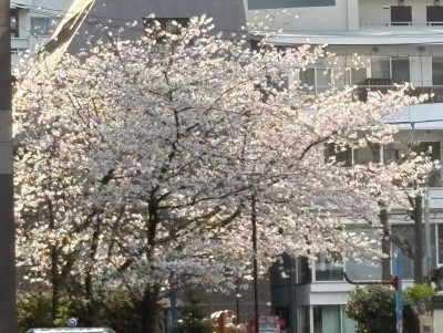 a4f065da-84eb-441a-b0ff-8e98b9cb5227