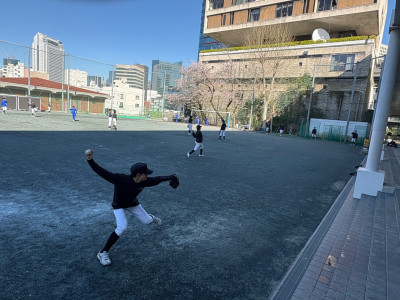 db0bf377-c875-4274-8f1a-f5cd3a475933