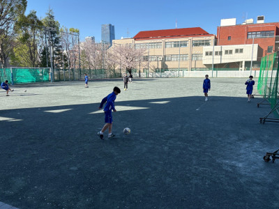 0241f253-a066-43e6-953f-d704eedacb46