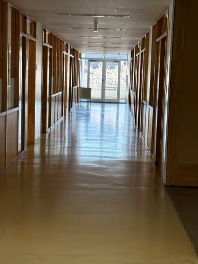 126ae990-3b9f-4519-9008-f8dcfdaa4827