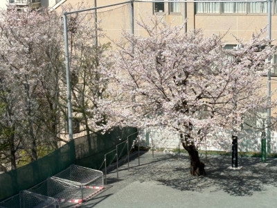 3c3c34f0-9405-468f-ad90-ffe9cb93b72c