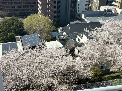 b5720a3d-7dc2-4daa-93e2-215d42c63fe1