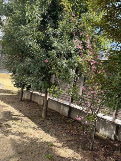 965fcebb-5ffc-41b7-881a-f25c368026fa