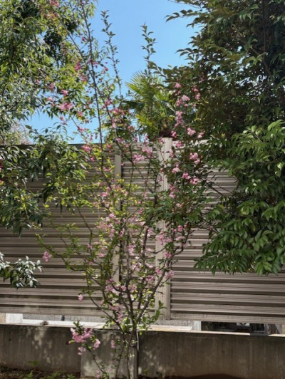 a50c5a50-6107-478a-bb01-0b0f0299640e