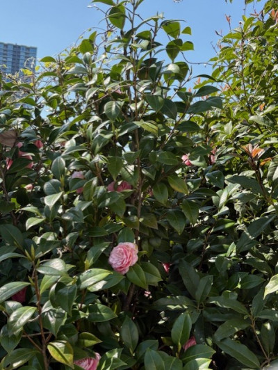 6ed7cb19-4ed1-49d0-8ce8-6ddbbacee1d6