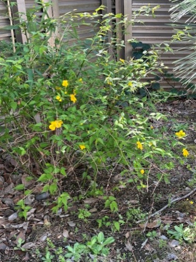 027e4c34-1d02-4c86-9fe5-a9e4f64c0660