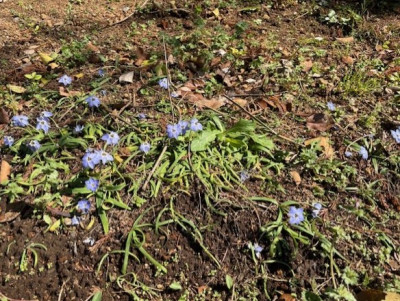 2f909f44-6596-483f-9e83-77d6c3b3496a