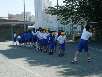 1-3体育1