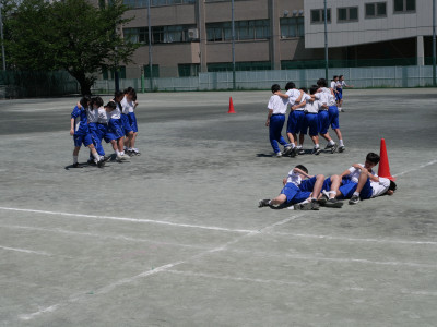 2-3体育1