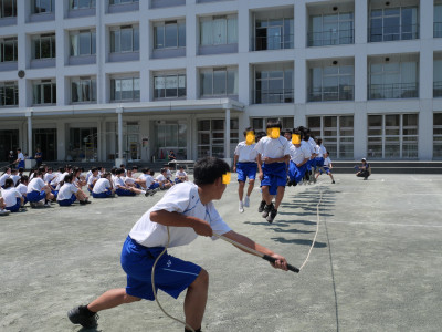 P1258753