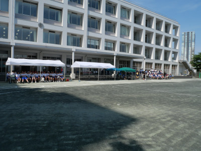 P1258911