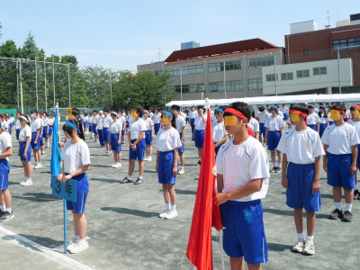 P1258917