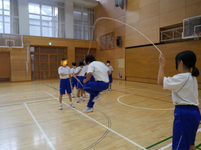 2-1体育4