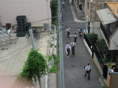 P1293295