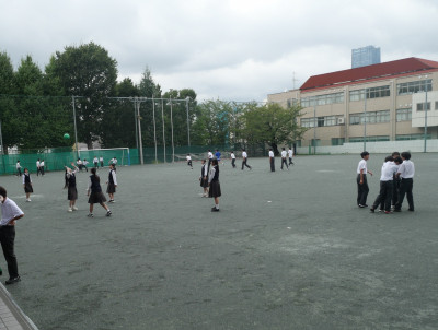 P1293686