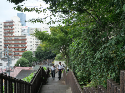 P1294058