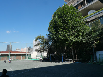 P1294249
