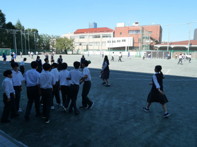 P1294227