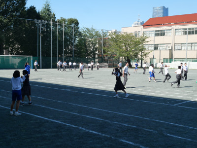 P1294231