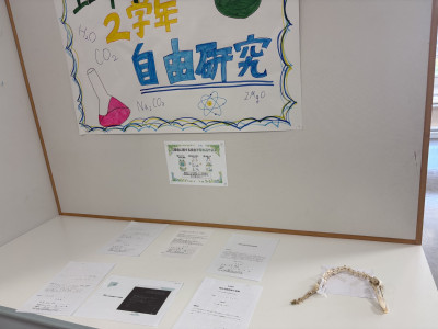 e277de0c-6a51-4054-94e7-c725256ea3a5